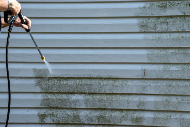 Best Shed Removal  in Humboldt Hill, CA